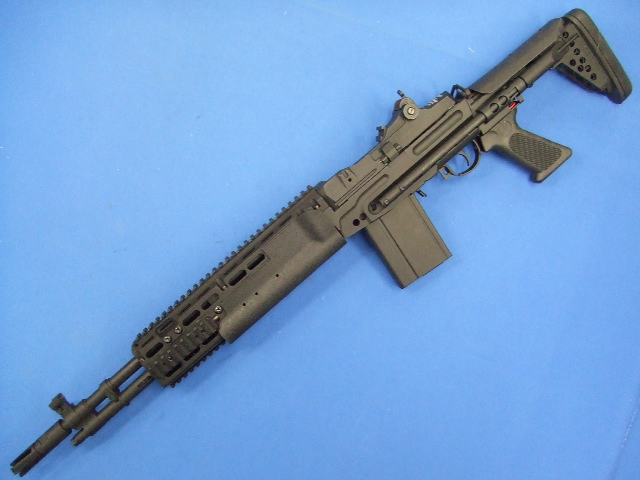 Mk14 Mod0 EBR / M14 EBR | APS